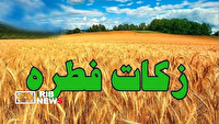 آمادگی کمیته امداد کردستان برای جمع‌آوری زکات فطریه