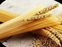 سهم ۸۰ درصدی البرز در تولید ماکارونی کشور