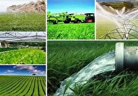 ۷۰ هکتار از پرونده‌های سرمایه‌گذاری کشاورزی خراسان شمالی تعیین تکلیف شد