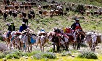 آغاز کوچ بهاره عشایر خراسان شمالی به مناطق ییلاقی