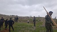 غرس بیش از ۴۰۰ هزار اصله نهال در شهرستان کهگیلویه