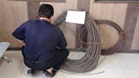 دستگیری سارق کابل و تجهیزات انتقال برق در کهگیلویه