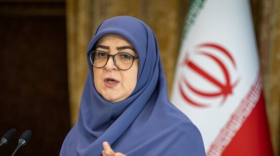 توضیح مهاجرانی درباره افزایش مبلغ کالابرگ