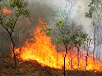 آتش‌سوزی بخشی از مراتع و باغات روستاهای کهنوجِ پاقلعه و ریسه