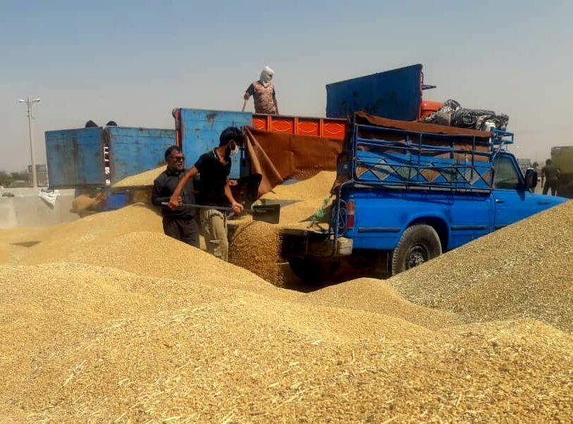 کشف ۷۰۰ تُن گندم احتکاری در دزفول