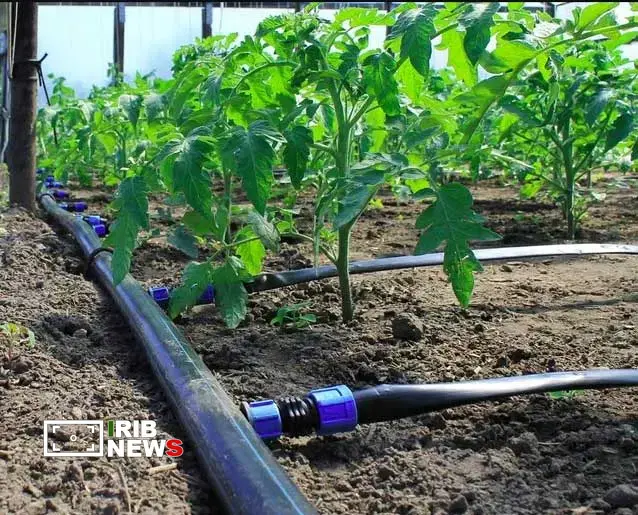 گسترش سامانه‌های نوین آبیاری در باغهای مراغه