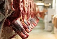 اجرای گشت‌های مشترک نظارتی با فرا رسیدن عید قربان