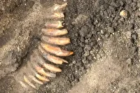 کشف گردنبند باستانی از جنس دندان