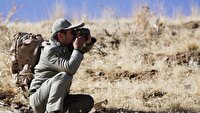 مشاهده مار پیتون در مرگور ارومیه تأیید نشد
